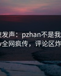 网红深夜发声：pzhan不是我干的！pixiv全网疯传，评论区炸裂
