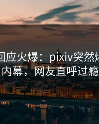 神秘人回应火爆：pixiv突然爆出丑闻内幕，网友直呼过瘾