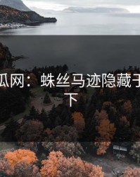 黑料吃瓜网：蛛丝马迹隐藏于表象之下