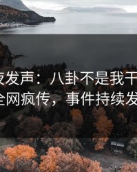 明星深夜发声：八卦不是我干的！pixiv全网疯传，事件持续发酵
