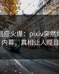 神秘人回应火爆：pixiv突然爆出真相内幕，真相让人瞠目