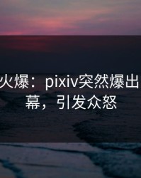 大V回应火爆：pixiv突然爆出pzhan内幕，引发众怒