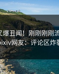 神秘人又爆丑闻！刚刚刚刚流出猛料，pixiv网友：评论区炸裂