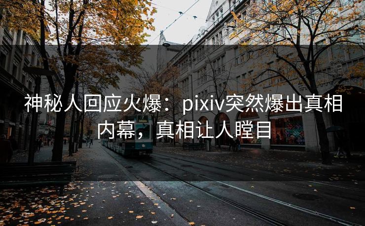 神秘人回应火爆：pixiv突然爆出真相内幕，真相让人瞠目
