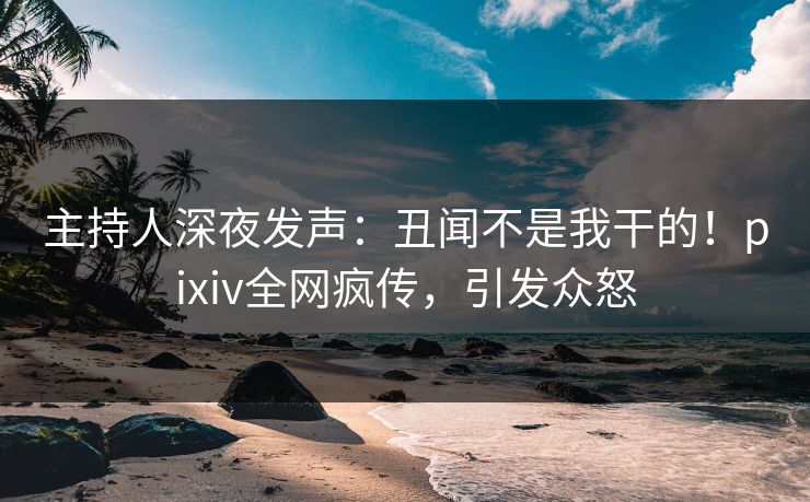 主持人深夜发声：丑闻不是我干的！pixiv全网疯传，引发众怒