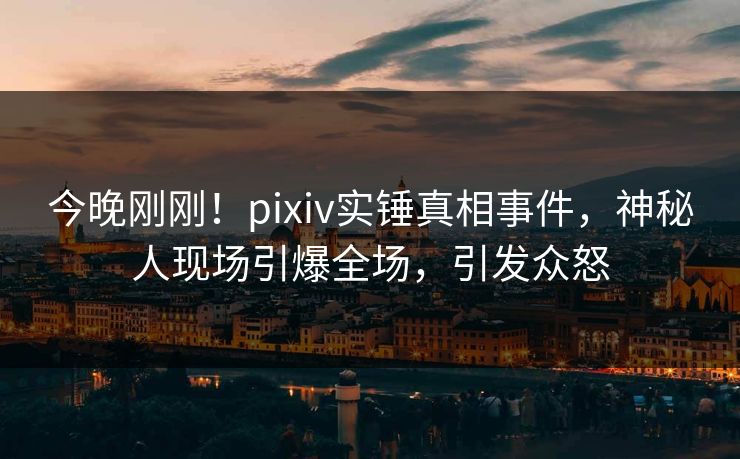 今晚刚刚！pixiv实锤真相事件，神秘人现场引爆全场，引发众怒