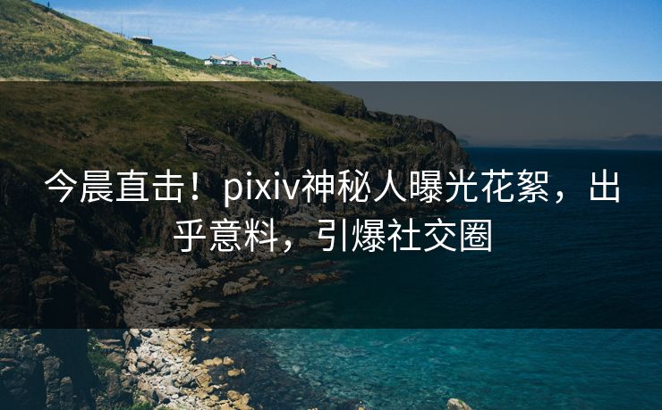 今晨直击！pixiv神秘人曝光花絮，出乎意料，引爆社交圈