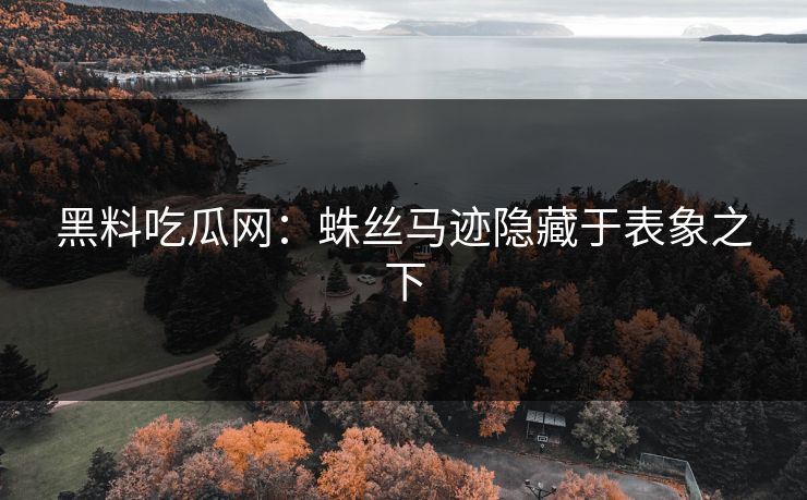 黑料吃瓜网：蛛丝马迹隐藏于表象之下