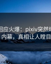 主持人回应火爆：pixiv突然爆出真相内幕，真相让人瞠目