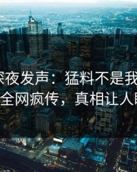 神秘人深夜发声：猛料不是我干的！pixiv全网疯传，真相让人瞠目