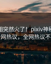 今日真相突然火了！pixiv神秘人居然全网热议，全网热议不断