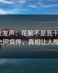 网红深夜发声：花絮不是我干的！pixiv全网疯传，真相让人瞠目