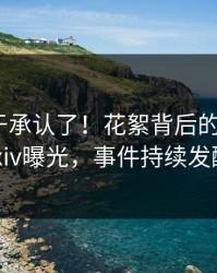 网红终于承认了！花絮背后的故事在pixiv曝光，事件持续发酵