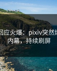 当事人回应火爆：pixiv突然爆出丑闻内幕，持续刷屏