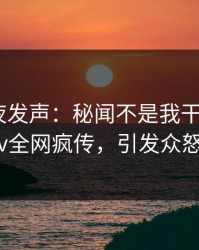 网红深夜发声：秘闻不是我干的！pixiv全网疯传，引发众怒