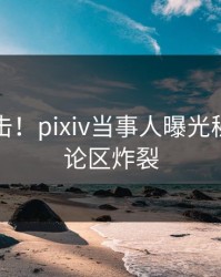 昨晚直击！pixiv当事人曝光秘闻，评论区炸裂