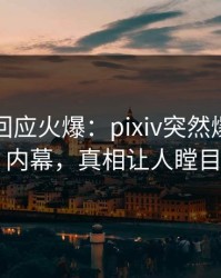 圈内人回应火爆：pixiv突然爆出热点内幕，真相让人瞠目