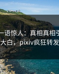 主持人一语惊人：真相真相引发真相大白，pixiv疯狂转发