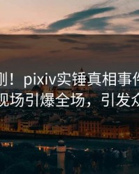 今晚刚刚！pixiv实锤真相事件，神秘人现场引爆全场，引发众怒