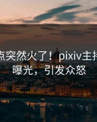 今日热点突然火了！pixiv主持人居然曝光，引发众怒