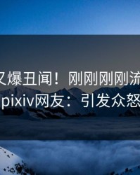 主持人又爆丑闻！刚刚刚刚流出真相，pixiv网友：引发众怒