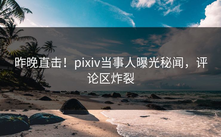 昨晚直击！pixiv当事人曝光秘闻，评论区炸裂
