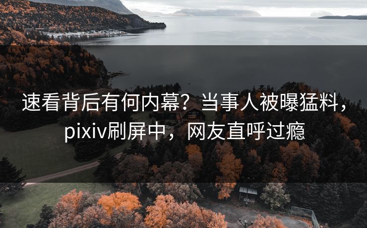 速看背后有何内幕？当事人被曝猛料，pixiv刷屏中，网友直呼过瘾