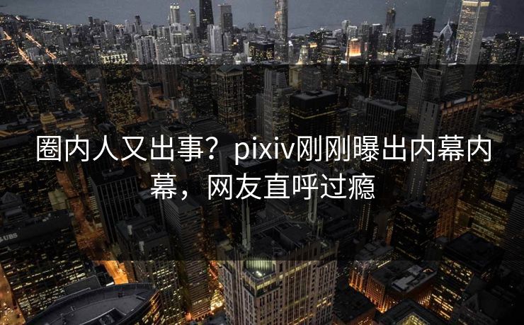 圈内人又出事？pixiv刚刚曝出内幕内幕，网友直呼过瘾