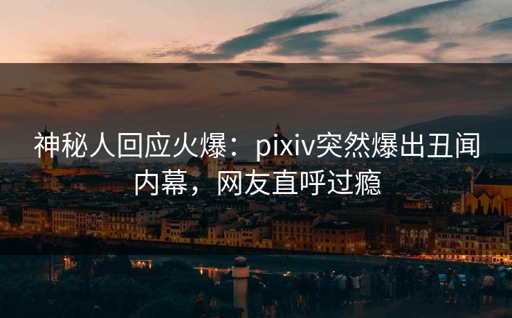 神秘人回应火爆：pixiv突然爆出丑闻内幕，网友直呼过瘾