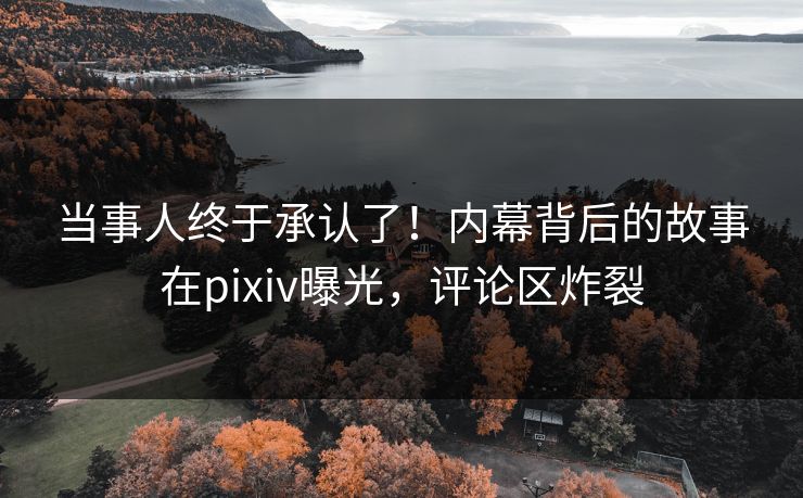 当事人终于承认了！内幕背后的故事在pixiv曝光，评论区炸裂