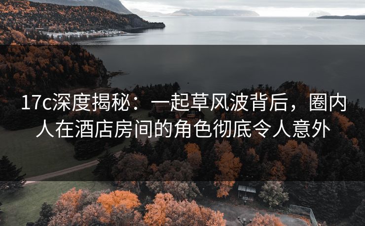 17c深度揭秘：一起草风波背后，圈内人在酒店房间的角色彻底令人意外